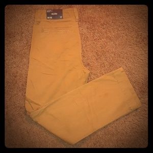 American Eagle Outfiters Relaxed Pants 30/32 NWT
